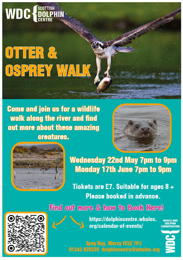 Join SDC Officer Cath on a guided walk to try and spot Osprey and the elusive Otter! There's always lots to see on this walk so don't miss out and book your ticket today!