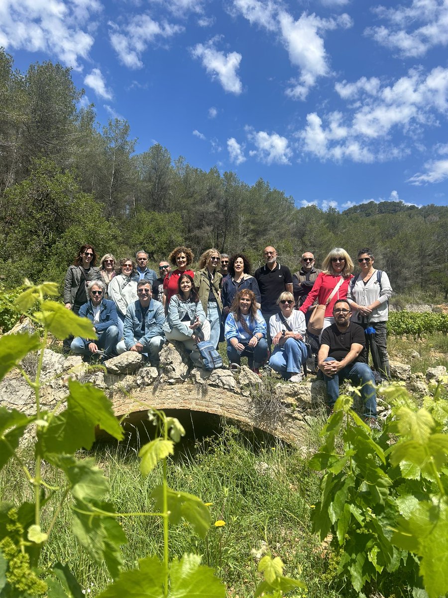 PuigBatet's tweet photo. 🪻🐞📸🍷
Més moments, per recordar!
El cap de setmana el ritme no para a Puig Batet, contents que vingueu a conèixer-nos i a celebrar moments especials.
Salut i bon vi.
#puigbatet #capdesetmama #enoturisme #vinsderibes https://t.co/2yA2haCWVh
