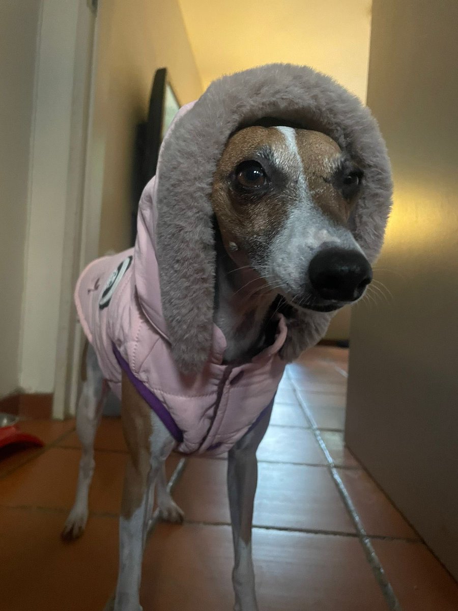 Winter is here 🥶 

<a href="/jacarandafm/">Jacaranda FM</a> #myfuryfriend