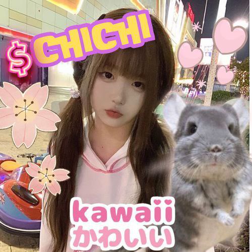 @0xphugazi <a href="/Pauly0x/">PAULY</a> Take a break from politics and come chill with $chichi !