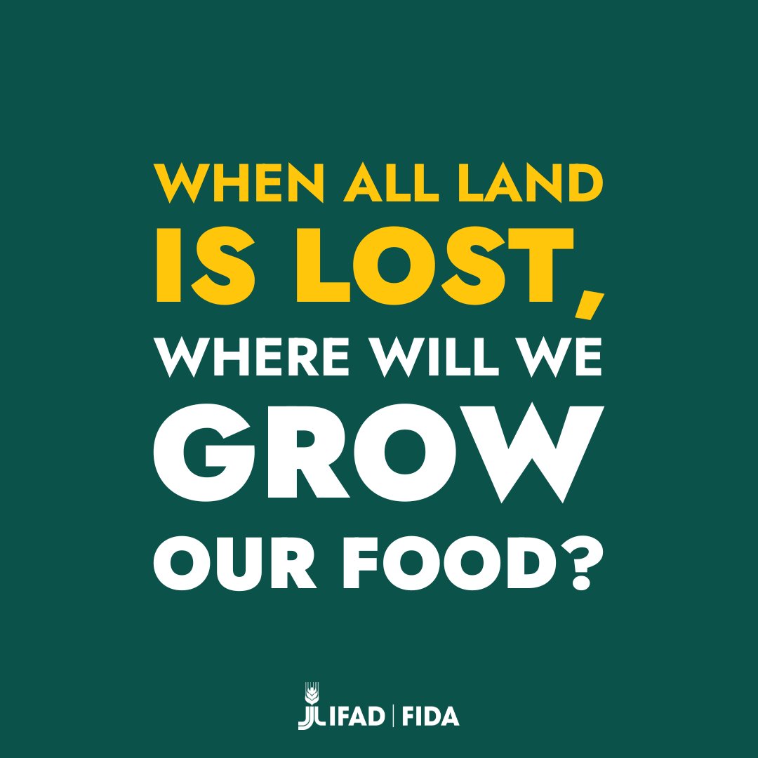 If we let #ClimateChange win, we let hunger win. Millions of smallholder farmers are unable to grow food because soil, water and forests are increasingly degraded. ⚠️ It's time for world leaders to #ActOnClimate ⚠️