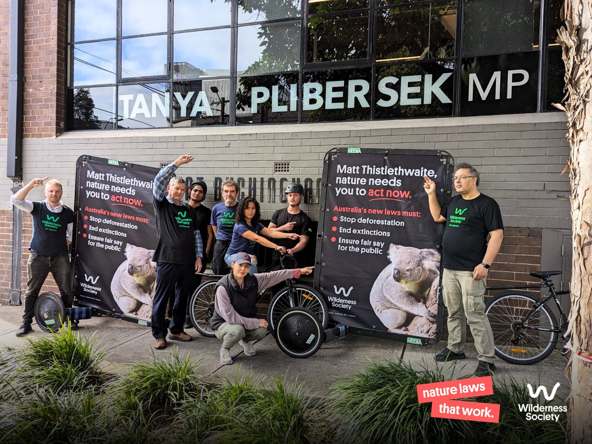 Wilderness_Aus's tweet photo. Have you seen our bike billboards around Sydney today? 👀

Nature is in crisis and needs #NatureLawsThatWork.

The community is calling on Kingsford Smith MP @MThistlethwaite to push the @AlboMP government for strong nature laws. #auspol #EPBC https://t.co/aKiKcnKC61