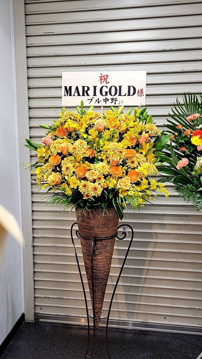 Marigold マリーゴールド on X