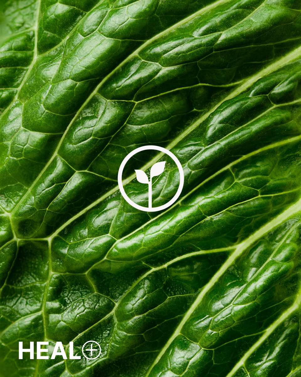 #drinkheal

Full of whole food pre and probiotics that help promote the growth of beneficial gut bacteria, decreasing inflammation, aiding in better digestion, improving cardiovascular function and overall mental health.