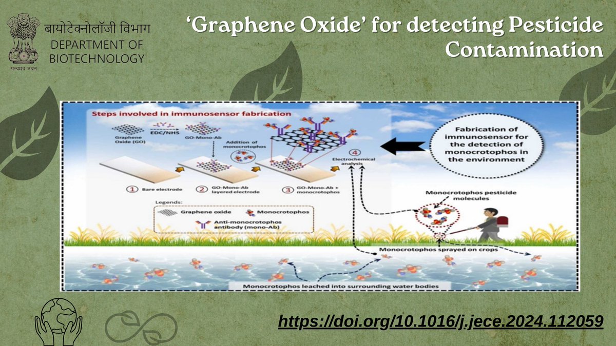 Voltametric immunosensor with randomly layered graphene oxide (GO) on an electrode developed by @HydNiab shows better sensitivity and selectivity for detecting pesticide contamination Read here: doi.org/10.1016/j.jece… @DrJitendraSingh @rajesh_gokhale