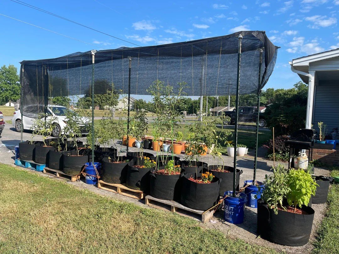 🍃Making the most of our summer sunshine! Using shade cloth to protect my plants from the heat and keep them thriving in our backyard oasis.
#openyoureyes
#summervibes #backyardgoals #lovestoryoutdoor