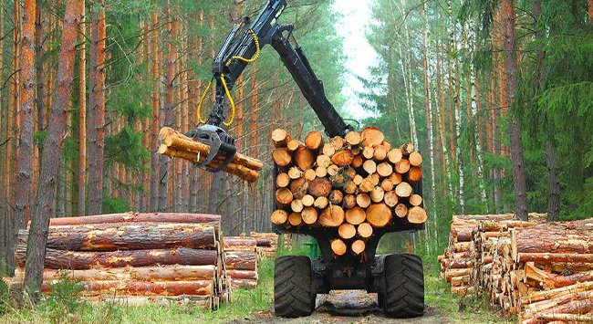 The Global Timber Index (GTI), which monitors the performance of the timber sector across seven pilot countries, has introduced its first specialised index focused on wood-based panels. @itto_sfm woodandpanel.com/woodnews/artic…