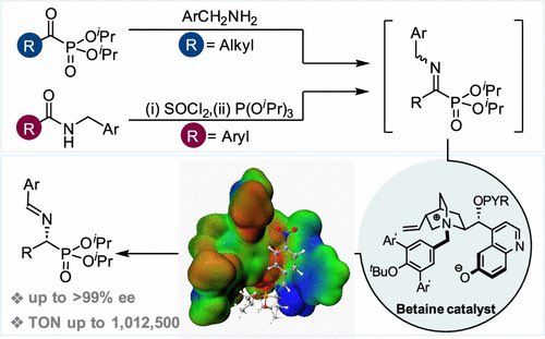 Practical Synthesis of Chiral α-Aminophosphonates with Weak Bonding Organocatalysis at ppm Loading

@J_A_C_S #Chemistry #Chemed #Science #TechnologyNews #news #technology #AcademicTwitter #ResearchPapers

pubs.acs.org/doi/10.1021/ja…