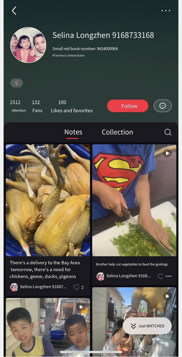 Rogers198381's tweet photo. @HSIGlobal @ProjectMoonBear Her actions could spread avian influenza, as this person abused animals in her own home in California, killing chickens, ducks and geese and selling them to other residents. She also posted the sale prices and her contact information on other social media: (916) 873-3168. https://t.co/4v1sYuh7QE