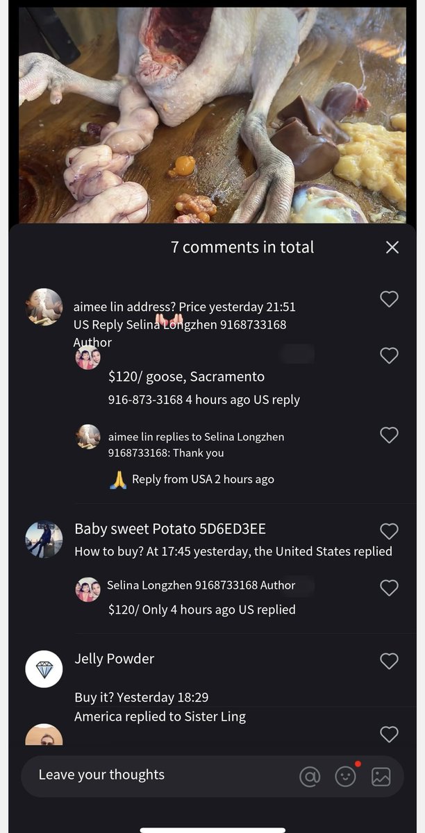 Rogers198381's tweet photo. @HSIGlobal @ProjectMoonBear Her actions could spread avian influenza, as this person abused animals in her own home in California, killing chickens, ducks and geese and selling them to other residents. She also posted the sale prices and her contact information on other social media: (916) 873-3168. https://t.co/4v1sYuh7QE