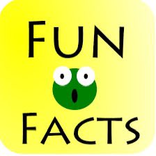 Miss Townsend’s Fun Fact of the Day is ….. Laughing came before language 💙💛 @stocsch #funfact