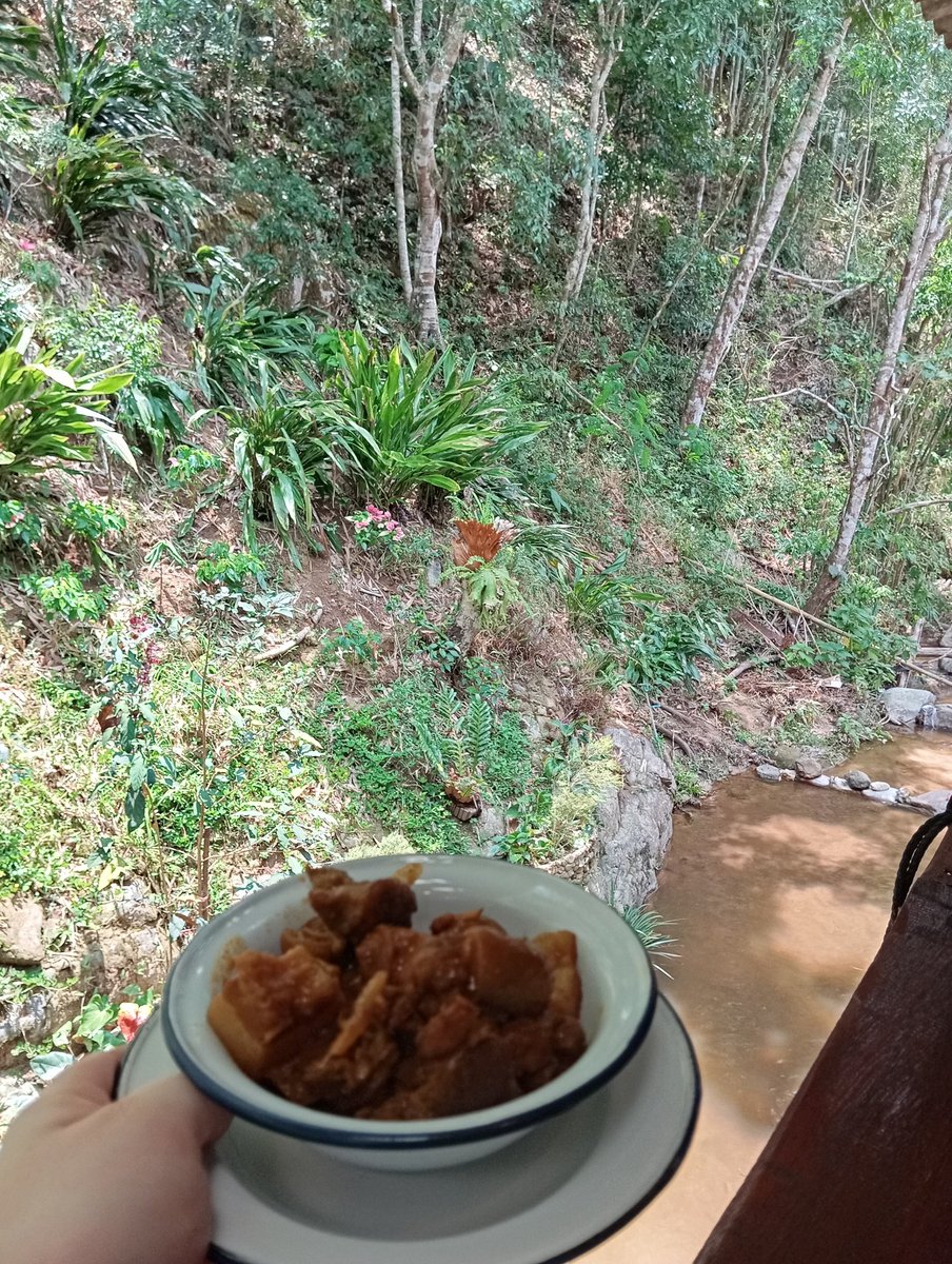 Lunch with a view at Mae Kampong village. First time here, it's not big at all, and probably nicer in the late afternoon. But, nice little spot for an hour. #thailand #thaitwitter