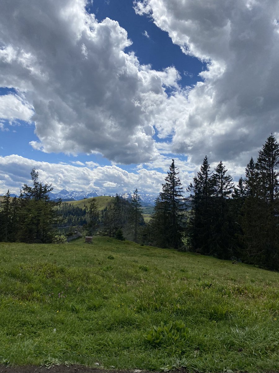 Pictures of yesterday’s beautiful hike ⛰️ 
6 km, 920 meters difference of altitude, 2:10 h up and 1:30 h down. 
#mountain #view #austria #MondayMotivation
