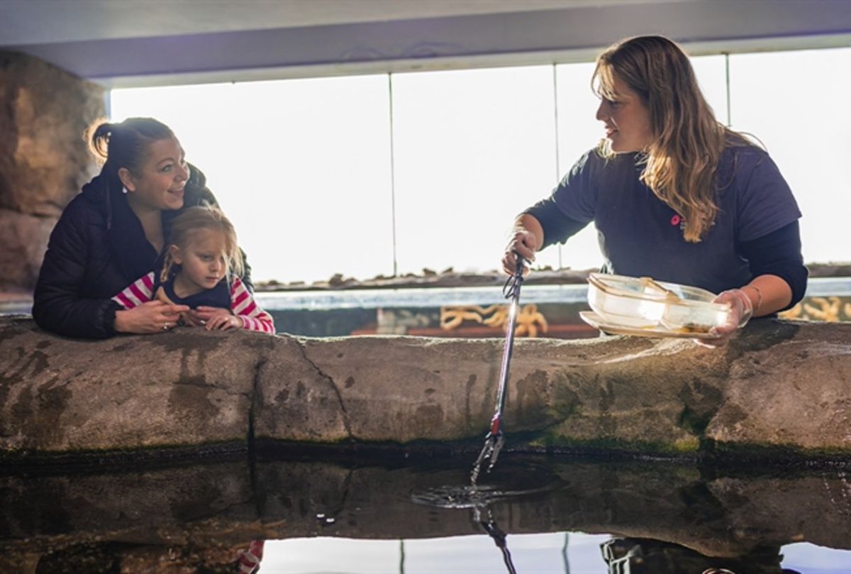 Visit the UK's largest Aquarium @NMAPlymouth and be fascinated by an underwater world 🐟🐠🐡 All day tickets come with a free 12-month pass, perfect for families looking for something to do this half term! 🐟🐠🐡 bit.ly/3KFXrPY