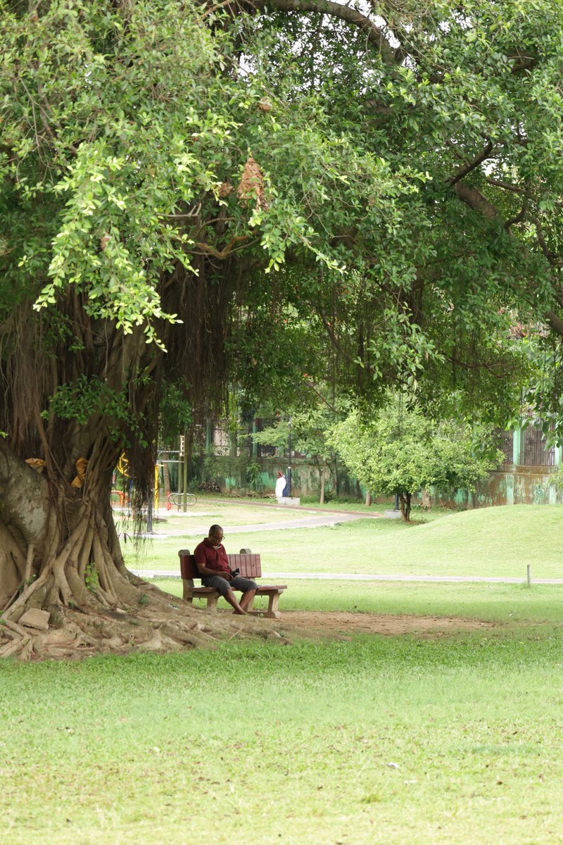 The citizens of Cuttack City enjoying the lush greenery and serene environment of the parks in CDA area. These parks offer a much needed respite from the hustle & bustle of city life alongwith providing spaces for relaxation & exercise.
#cuttackdevelopmentauthority #CDA  #park