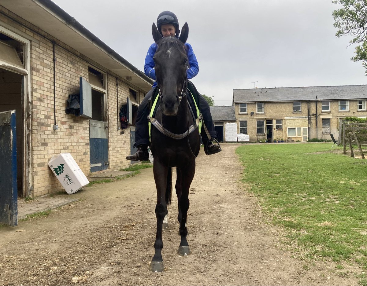 Grey and a bit chilly this morning in Newmarket but I think/hope that the sun will break through shortly to give us another nice warm, sunny day. 8 degrees early on, currently 11, forecast high 20 #Eljaytee