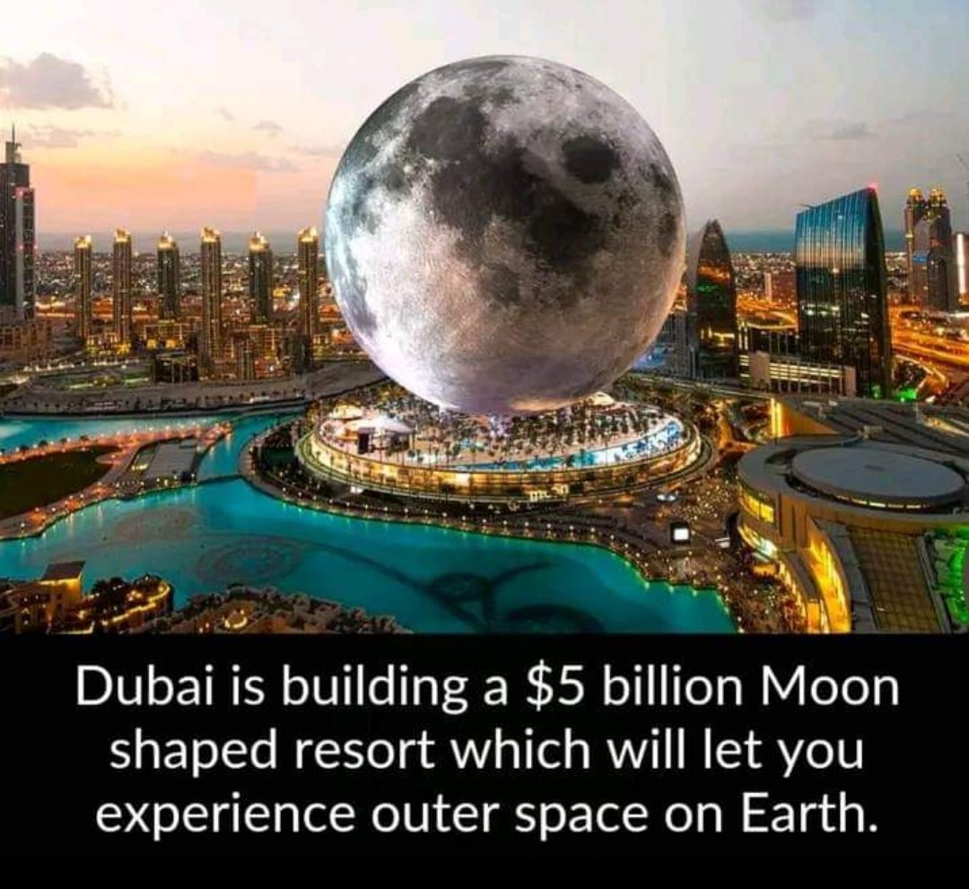 POV: You have too much money 
<a href="/saudiarabia/">Saudi Arabia</a> edition 

#money #funny #wtf