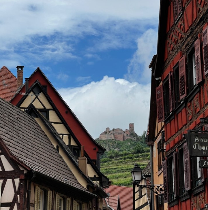 Superbe vue de Ribeauvillé. L'#Alsace est belle faisons le savoir. #BaladeSympa #MagnifiqueFrance