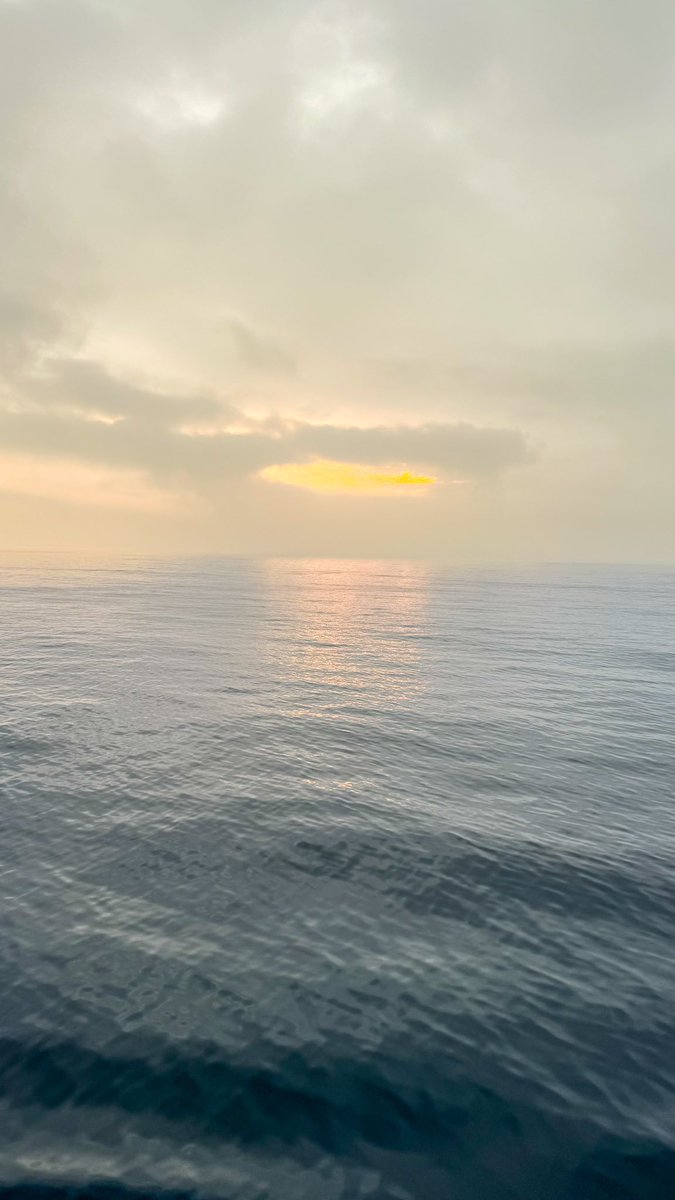 Dawn on the water. Yesterday morning on the ferry to France when I brought Percy out on deck this was the beautiful sight of a new day. Don’t forget to make this one count.