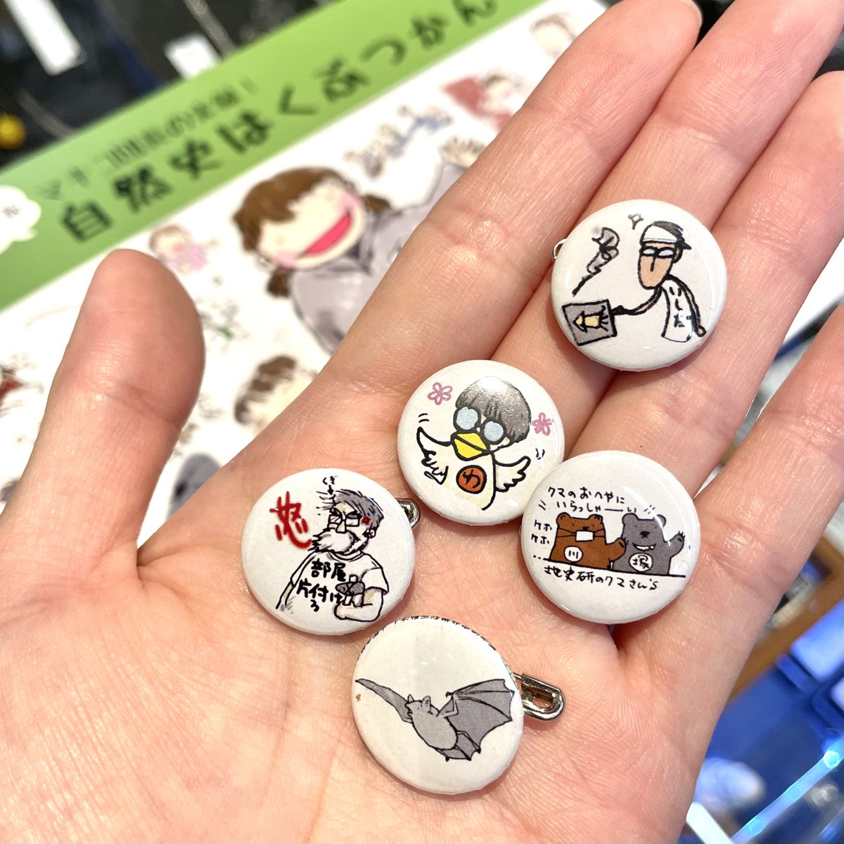 ご紹介〉学芸員ミニ缶バッジ ＃大阪市立自然史博物館 友の会会報