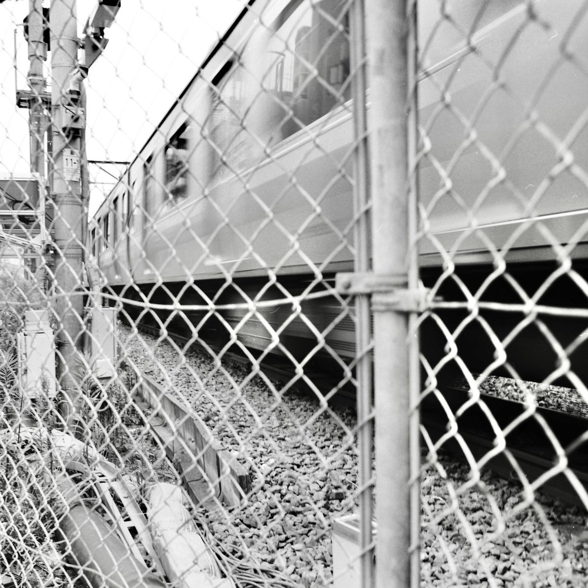 BARNACK_M3's tweet image. 自分の無力さを知る
現実の前で
いつも

電車は今日も走っている…

#filmphoto #PENTACON #ILFORD