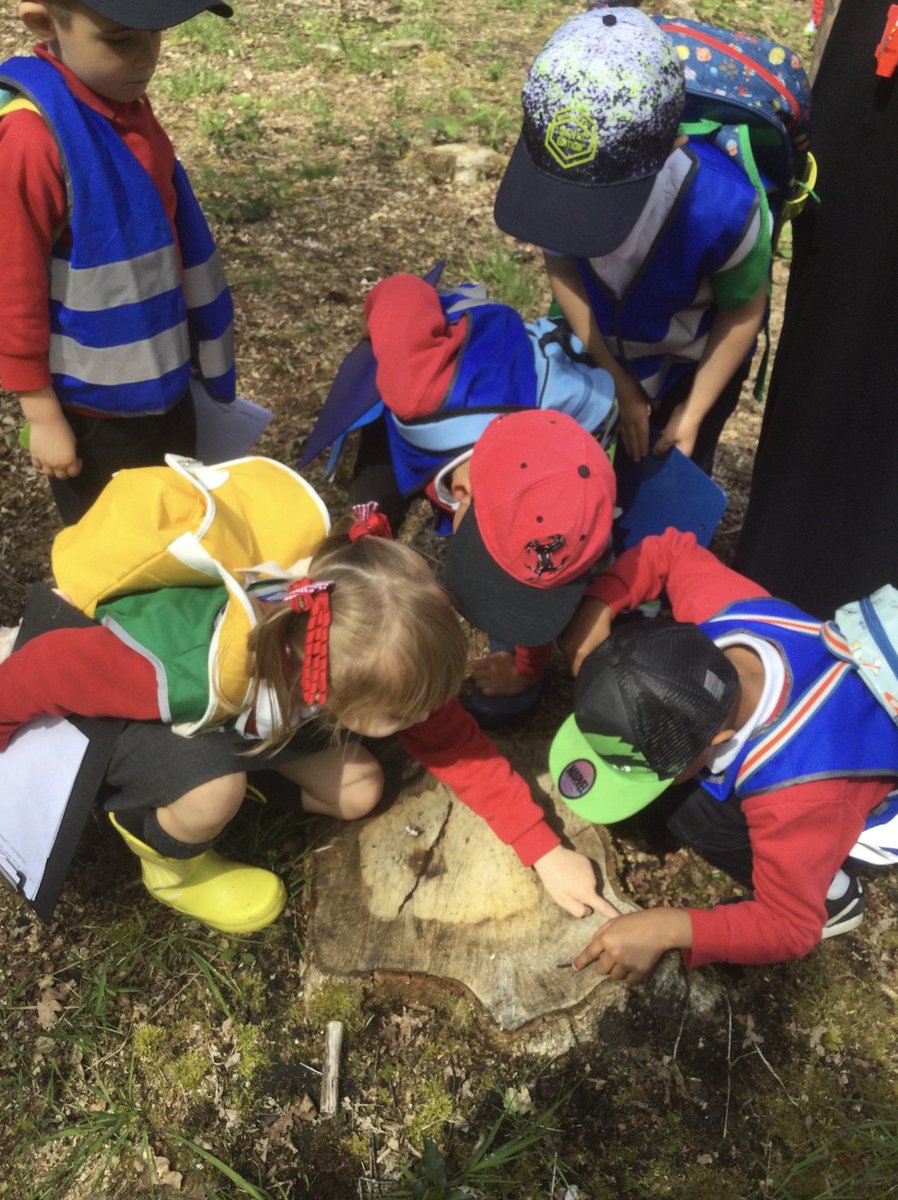 🌿 Fantastic day at Wimbledon Common with our Year 1 students, learning all about local plants! 🌱 #OutdoorEducation #primaryscience #WimbledonCommon