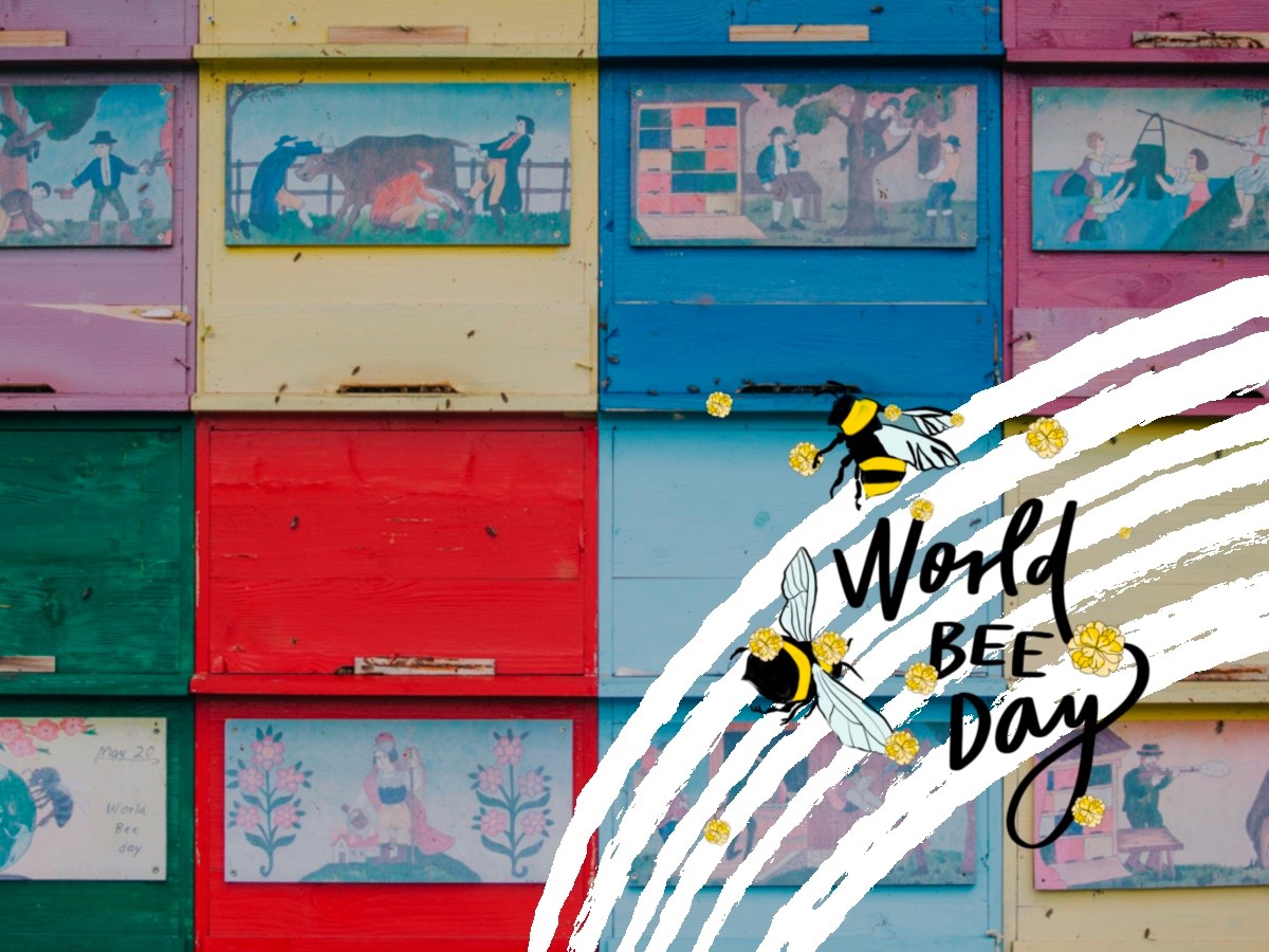 🐝 Buzzing with excitement! This year's #WorldBeeDay on May 22-23 celebrates 7 years of bee conservation efforts with a focus on engaging youth. 🌍  

Read more: ter.li/j9svxa

#ifeelsLOVEnia #sloveniaculture