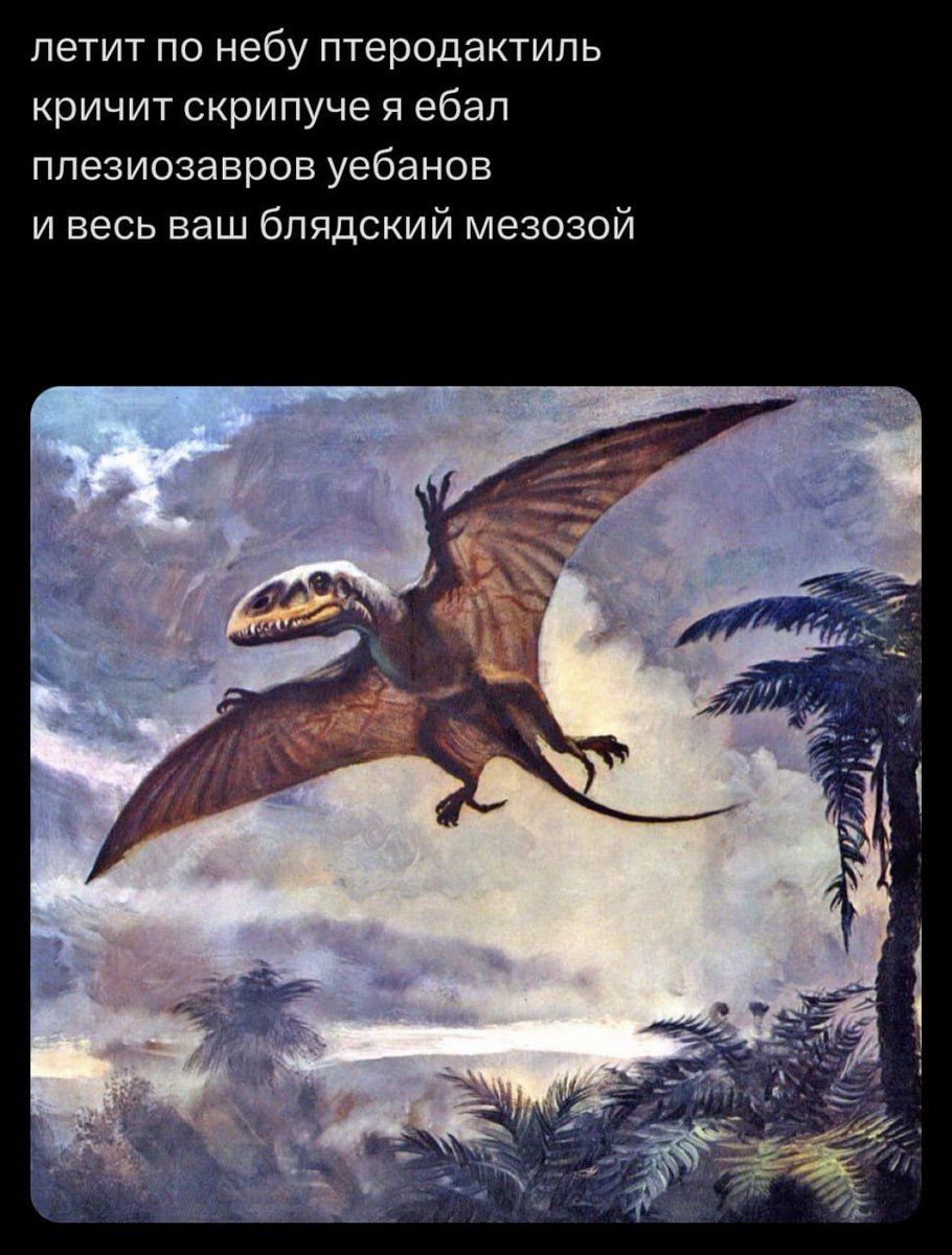 Дантес (@dantesdmitriy) on Twitter photo 