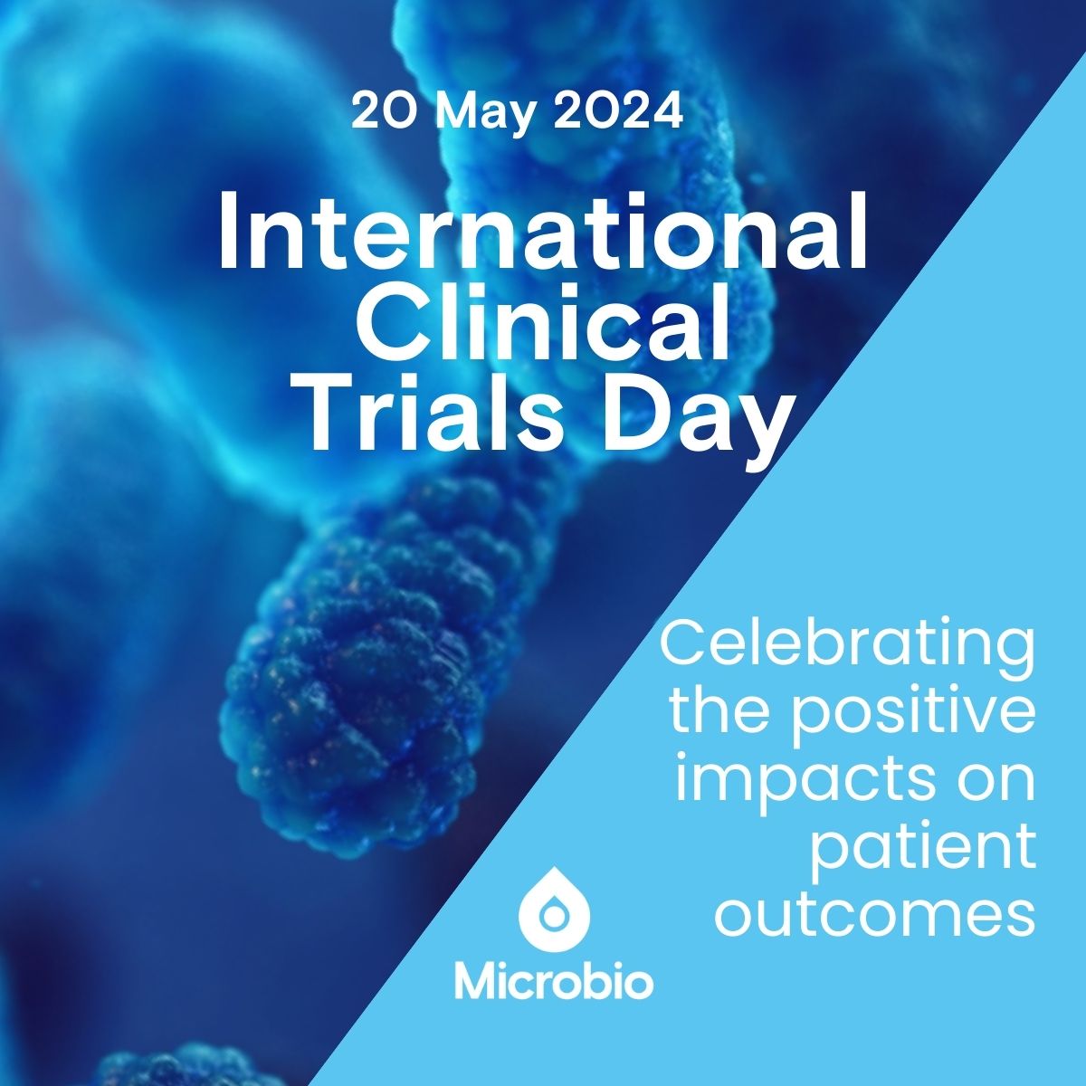 This #InternationalClinicalTrials day, Microbio celebrates the positive impact clinical trials have on patient outcomes. We also celebrate the amazing people that design, manage and execute clinical trials.