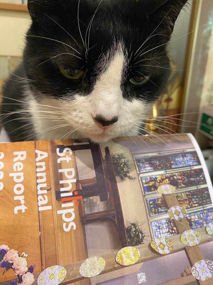 #MondayMotivation post APCM review of the annual report - not enough cats on the front cover