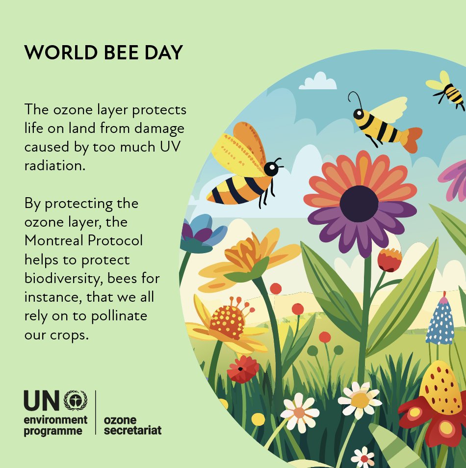 It's #WorldBeeDay 🐝🐝🐝 today! We need to protect these incredible little #pollinators. Because without #bees, we would end up with no more food and no life left on Earth! Harsh but true.....