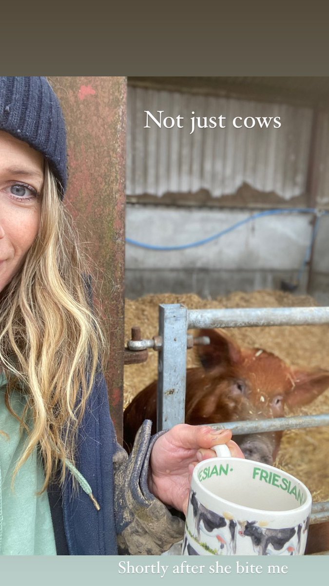 sophieaplin's tweet photo. Hello ๐
Help needed โ๏ธ to America ๐บ๐ธ for @NuffieldFarming travels end of July
Anyone have anyone they think ๐ญ I must see wanna see cross sector ๐ฎ ๐ท ๐พ
#Farming #notjustcows #america https://t.co/gxFRDpzDXy