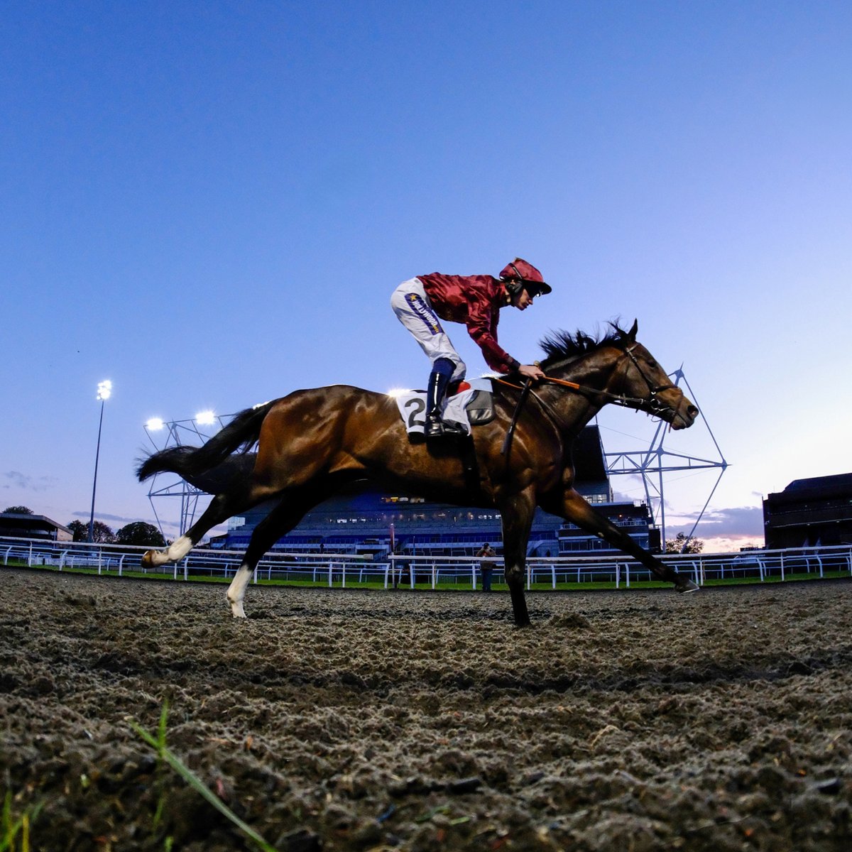 After a week off, we're back racing on Wednesday!🥳🏇 There's still plenty of time to book your tickets or even treat yourself to a night in our Panoramic Restaurant🍴 Head to our website to book: thejockeyclub.co.uk/kempton/
