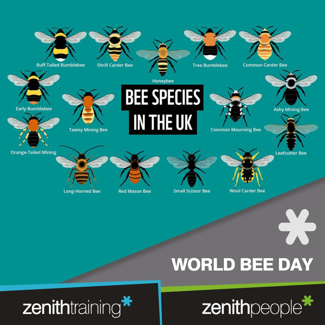 Zenith People tweet media