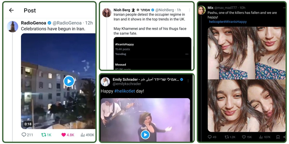 YaarGhadimi's tweet photo. To all Western leaders!

We Iranians are celebrating the news of Raisi's death and that of his companions. #Raisi was an executioner who played a significant role in suppressing and killing protesters. If you offer condolences and sympathy to the Islamic regime in #Iran, you will insult all of us. We will never forget this.