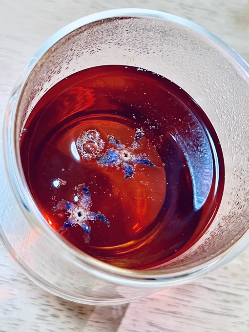 ゴミが浮いているわけではなく、紅茶に先日作ったボリジの花の砂糖漬けを浮かべたところです 写真が下手 現物はもう少しかわいかった 