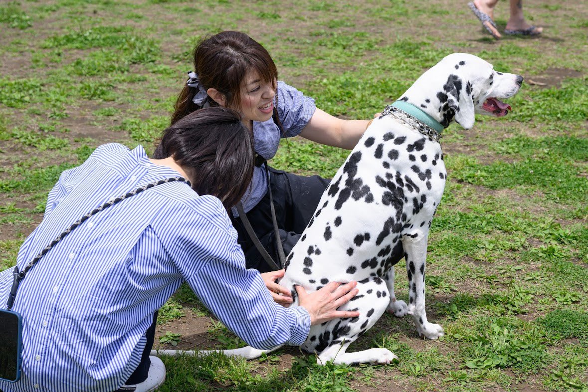 HUGANIMALS1's tweet photo. #HUGANIMALS! vol.11  5/25.26

26日
ステージ　11:15〜11:45

#スウェーデン式ドッグマッサージ
お家でできる簡単なマッサージをご紹介。ワンちゃんの喜ぶポイントがよく分かりますよ
ブースは両日共に出店されております♪

#ドッグケアインターナショナル・ドッグマッサージスクール #犬といる幸せ https://t.co/6JWpJoRZWV