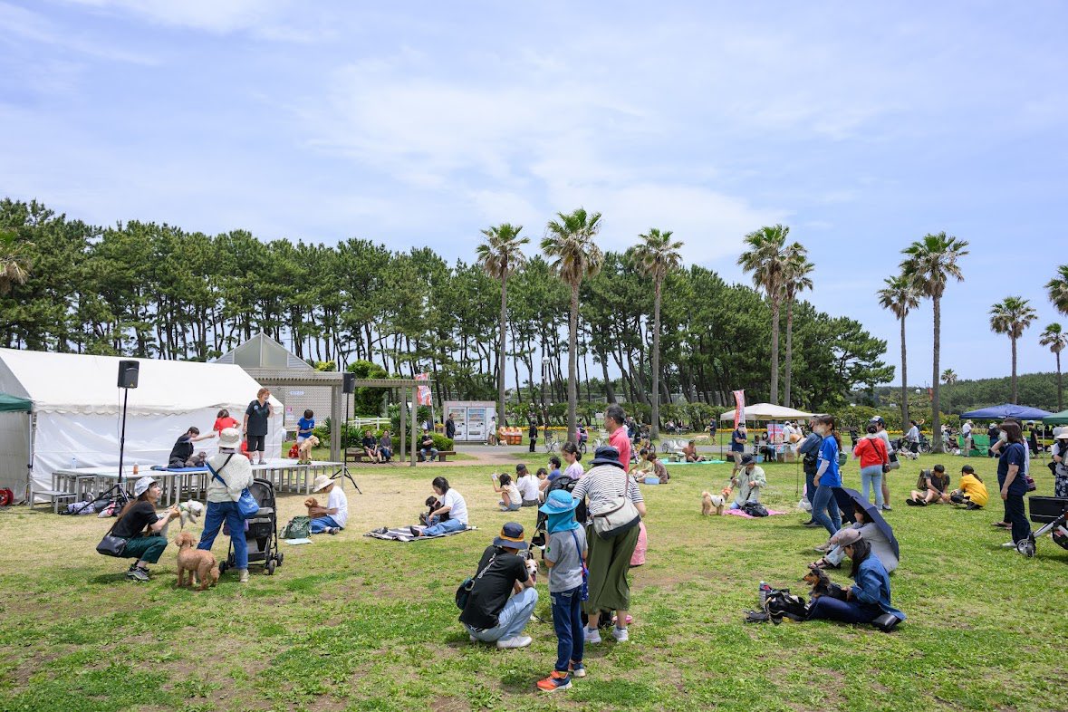 HUGANIMALS1's tweet photo. #HUGANIMALS! vol.11  5/25.26

26日
ステージ　11:15〜11:45

#スウェーデン式ドッグマッサージ
お家でできる簡単なマッサージをご紹介。ワンちゃんの喜ぶポイントがよく分かりますよ
ブースは両日共に出店されております♪

#ドッグケアインターナショナル・ドッグマッサージスクール #犬といる幸せ https://t.co/6JWpJoRZWV