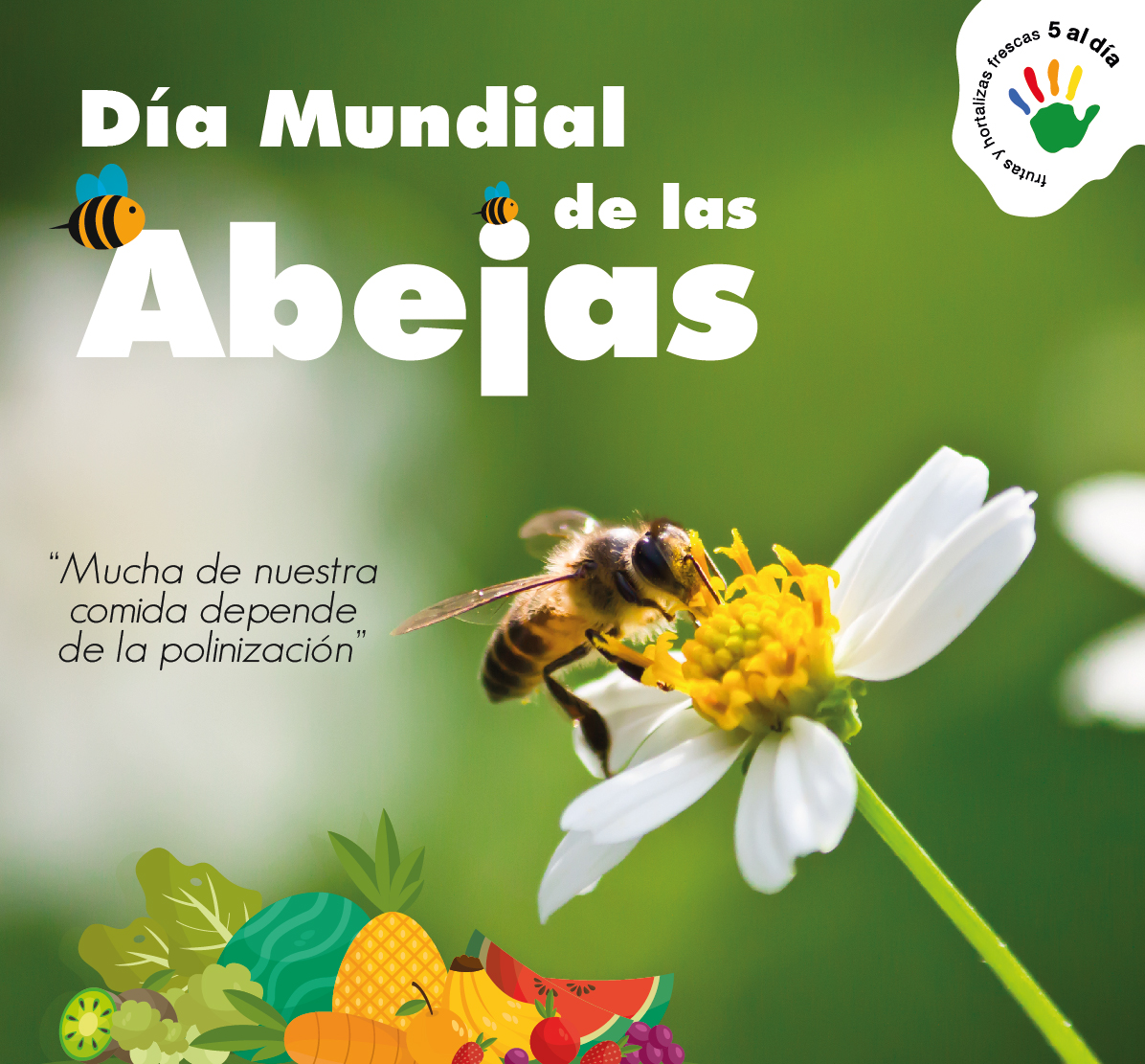 🐝 ¡Feliz #DíaMundialdelasAbejas! 🌼 Estos increíbles polinizadores desempeñan un papel vital en nuestro ecosistema. Las #abejas proporcionan miel deliciosa 🍯 y son responsables de la fertilización de muchas plantas que sustentan nuestra alimentación! 🌸🌽🥦🍓🥝