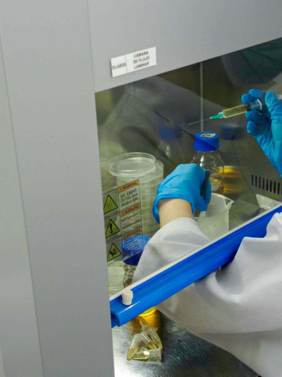 microbioorg's tweet photo. #microbiologiaagricola #esthercortez #esthercprtezpazmiño #mariaesther #microbiolab #ecuador #microbiologiaagricola #laboratorio #bioinsumos #microbiolabecuador #microbiologiaecuador https://t.co/zWaicmUvXI