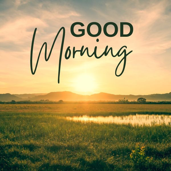 Awesome Morning 🌤️ - raaga.com/play/700789 மகிழ்ச்சியான காலை தொடக்கம் !!! #goodmorning #tamilcinema ​#lovesong ​​#tamilmusic ​#tamilsong ​​​#tamilmovie ​​​#raaga ​​​​#raagamusicschool