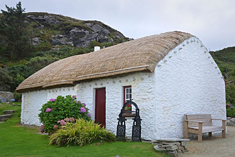WeLoveDonegal tweet media