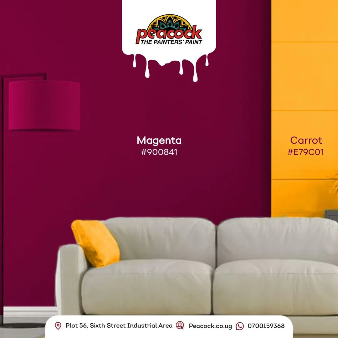 Because every week deserves a fresh start.✨ Tell us your color pick in the comments! 🎨

#PeacockPaints #ThePaintersPaint #HappyNewWeek