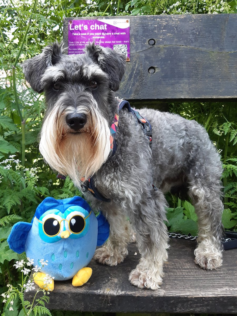 It’s #TravelSmart week! Who will you Stay Connected with on Modeshift Monday? Walter the Wellbeing Owl met up with his four legged friend for a catch up on a Let's Chat Derbyshire bench. Is there one near you? Find out at bit.ly/Movemorenature #TravelSmartSMILERS