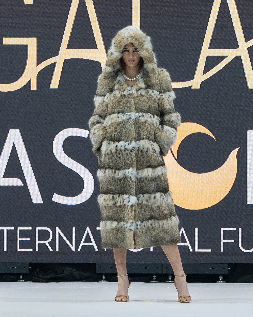 kastoriafurfair's tweet photo. #GreekSiatistianFurs unveiled their top notch AW24 LYNX collection at the 49th KIFF’s Fashion Gala Show!
#kastoriafurfair #kiff #fur #furfashion #ott #qotd #ootd #ootn #fashionweek #womenswear #fashion #lynx #catlynx #catwalkmodel #catwalk #models #galashow #runway #fashiongala https://t.co/eCdRsxgqsV