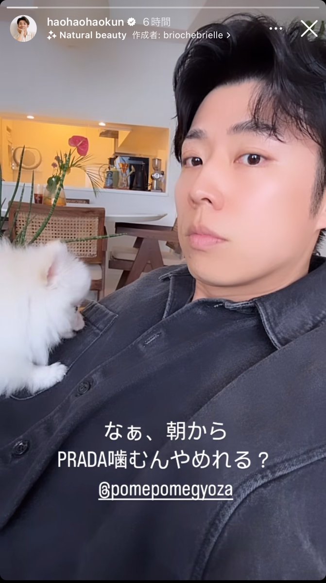 saru886's tweet photo. ←犬といるハイブラに包まれた自分好き
ワンコ大好き‼️‼️🐩🐕→ https://t.co/LJrgNEIpbq