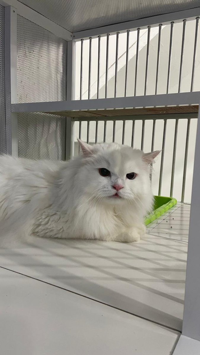 DudutNdut's tweet photo. marah gamau di jemput😭 https://t.co/GKvUtMKu8I