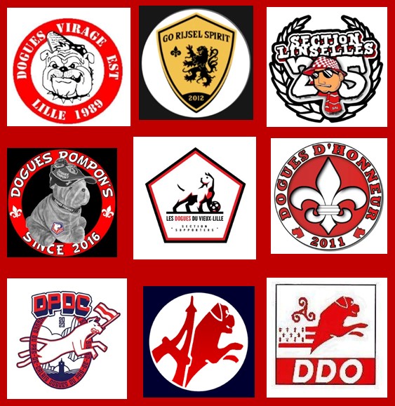 LOSC FANS ONLINE 🔴⚪ tweet media