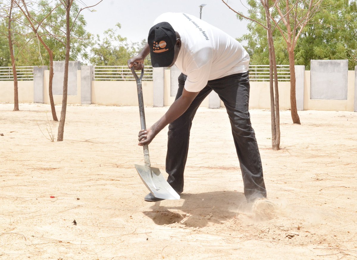 IBRAHIM BABAGANA (@ibrahim61685003) on Twitter photo Yesterday Sunday 19th/05/2024 in collaboration with Borno Islamic Foundation we planted some trees in Borno State University central mosque and at Ummul Qur'an Integrated School Tudun wada Borno State. Let's keep planting trees for a greener and better environment in Borno state Yesterday Sunday 19th/05/2024 in collaboration with Borno Islamic Foundation we planted some trees in Borno State University central mosque and at Ummul Qur'an Integrated School Tudun wada Borno State. Let's keep planting trees for a greener and better environment in Borno state
