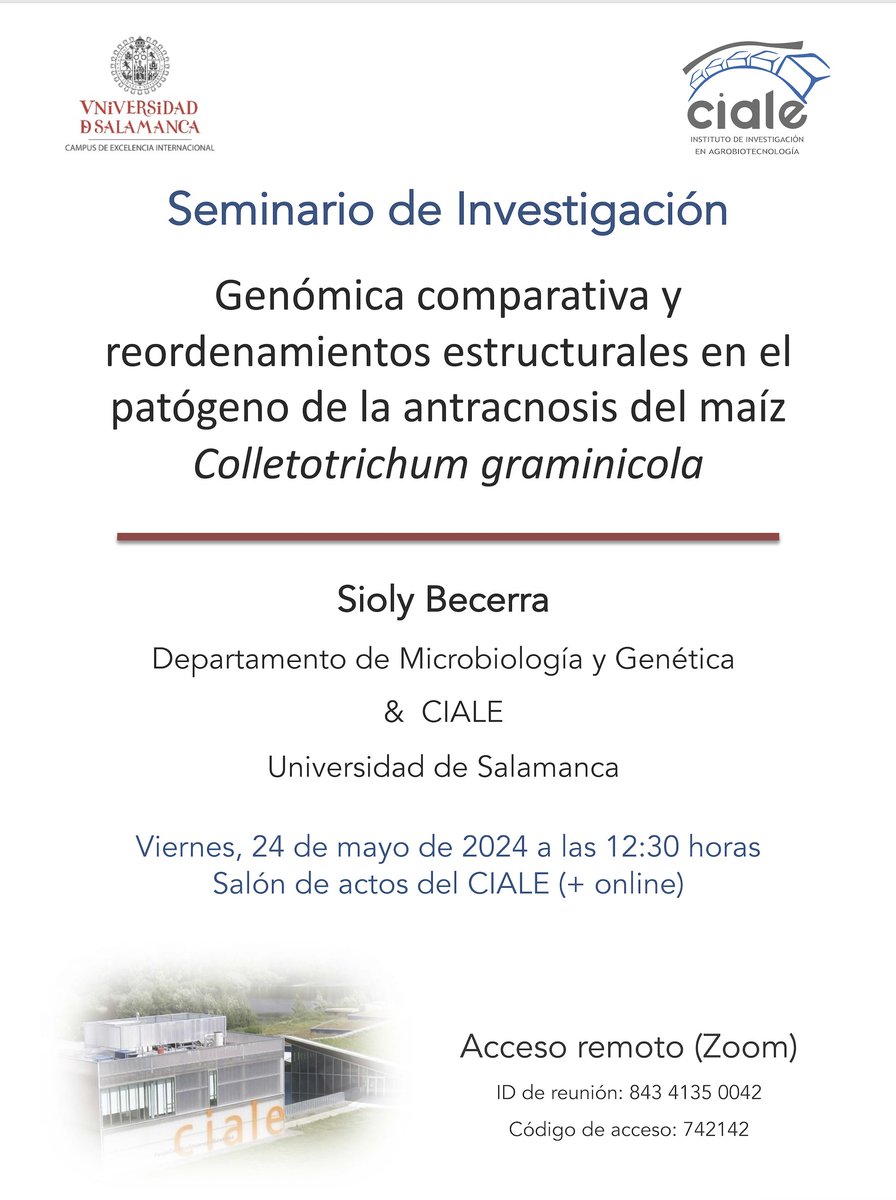 usal's tweet photo. 📌Seminario de Investigación "Genómica comparativa y reordenamientos estructurales en el patógeno de la antractnosis del maíz Colletotrichum graminicola". 

📆Viernes, 24 de mayo 
🕧12:30 horas 
📍Salón de Actos @CIALE_USAL + virtual 
👩‍🔬 Sioly Becerra 

💻Acceso remoto: https://t.co/VW40IMfceX